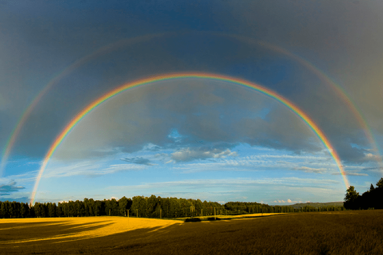 Manifesting Abundance for the New Year
