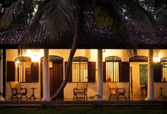coconut wing at night sri lanka