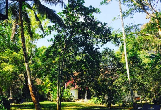 Pool-shot-yoga-venue-sri-lanka