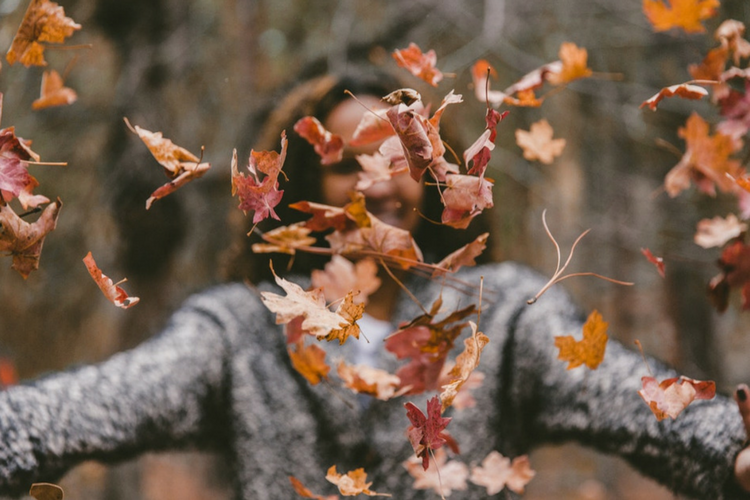 Autumn Leaves