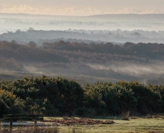 sussex