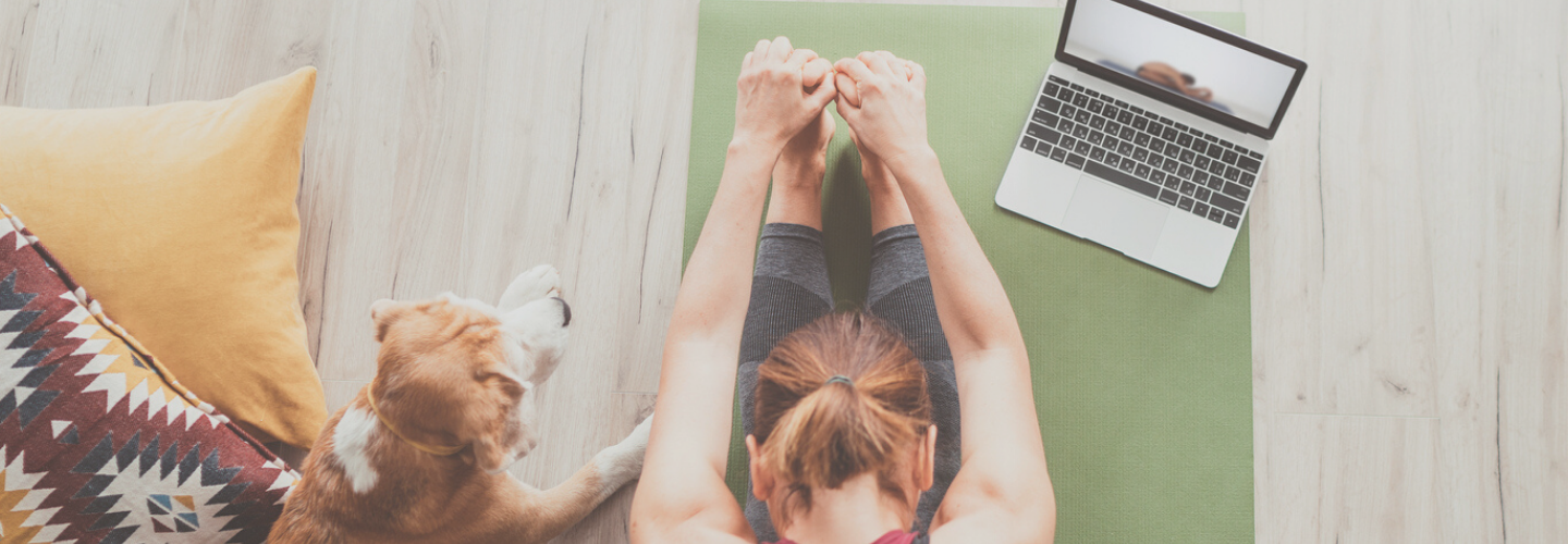 woman in forward fold on mat with mac and dog